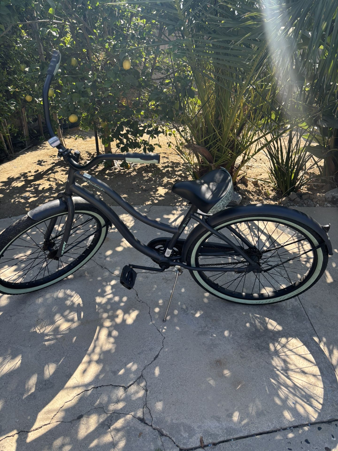 Beach Cruiser Bike