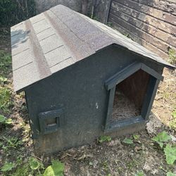 Dog House