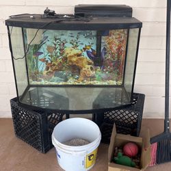  55 Gallon Fish Tank(comes With Diferent Live Fish)