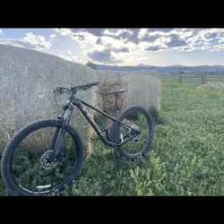 Trek Roscoe 7 
