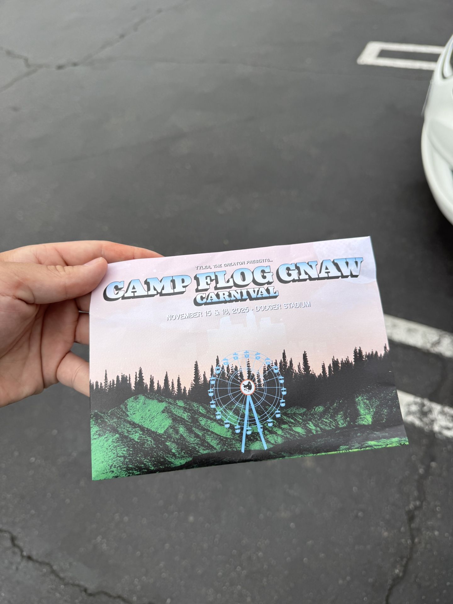 Camp flog gnaw GA 2 Days