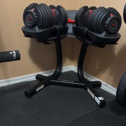 Bowflex Dumbbells w/stand