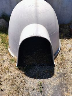 Large dog house