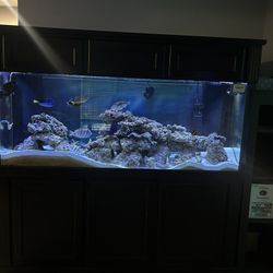 Aquarium With Stand 