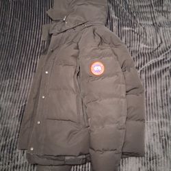 Canada Goose