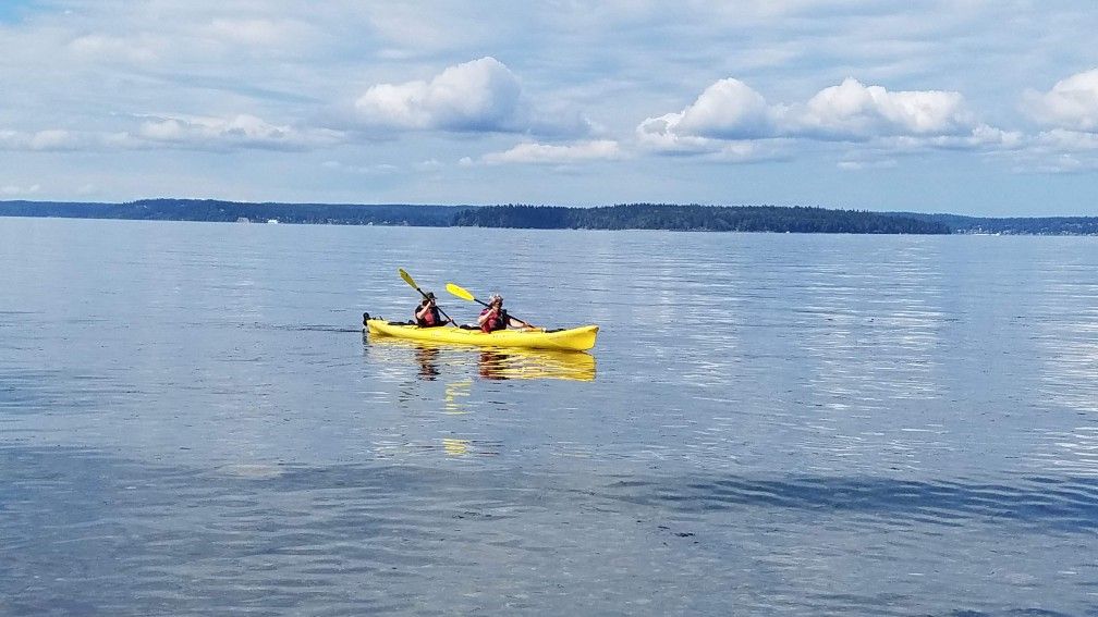 Necky Looksha Kayak Tandem 19ft