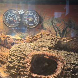 Ball Python Tank(READ DESCRIPTION)