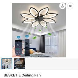 Ceiling Fan With Light