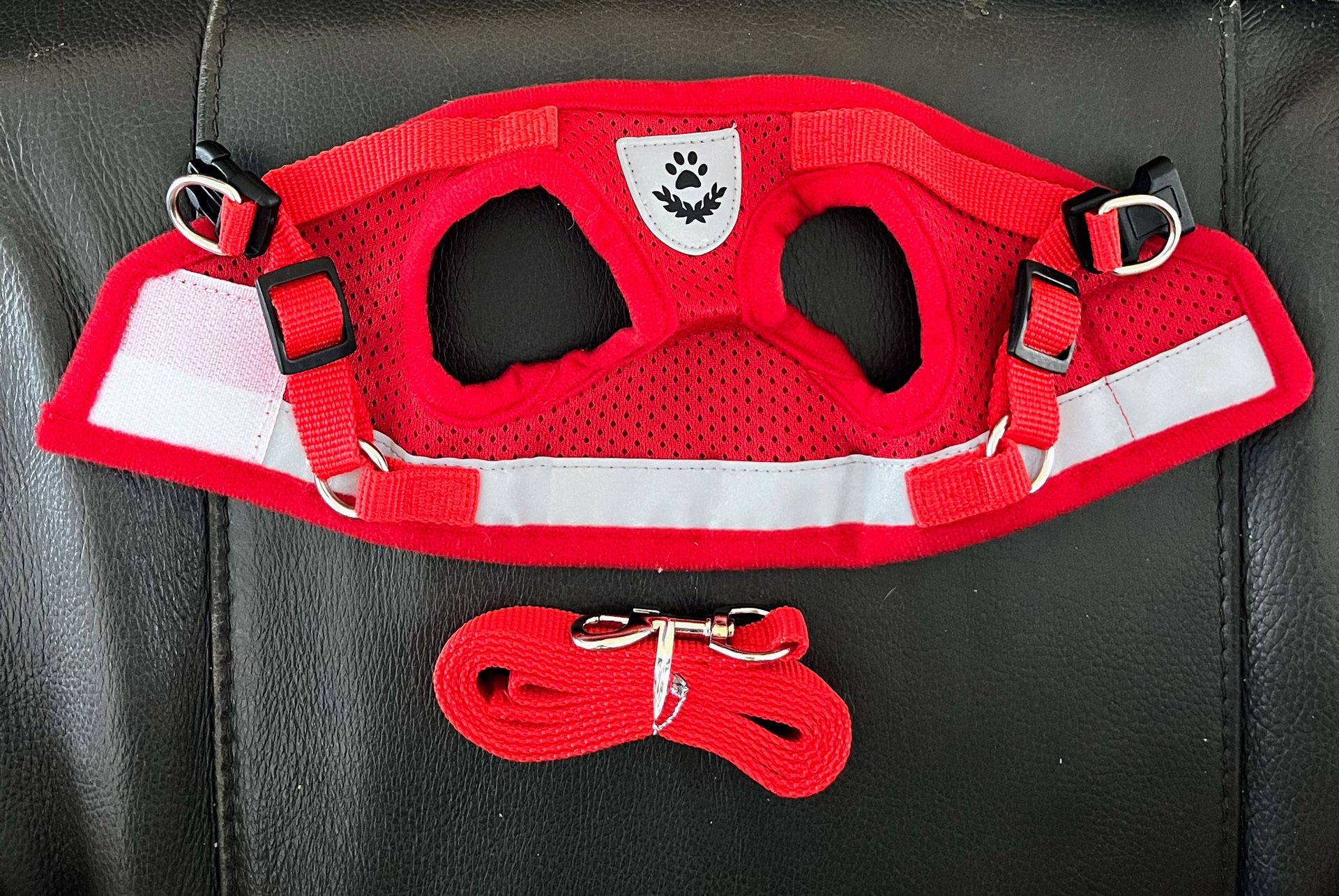 XS Pet Harness/Leash