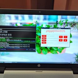 HP Envy 17 (17t-k200) With Peppermint (Linux)