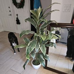 Artificial Houseplant 