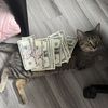 SIMPLEWRLDSELLS