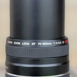Canon Ef 75 300mm F 4 5 6 Iii Usm Telephoto Zoom Lens For Sale In Tomball Tx Offerup