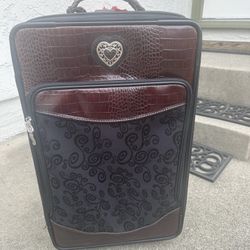 Vintage Brighton Carryon Luggage And Protective Case