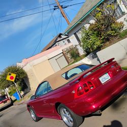1998 Mustang Cobra  113xxx Miles Clean Title