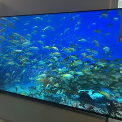 Sony 65” 4k 120hz smart tv qled X90L