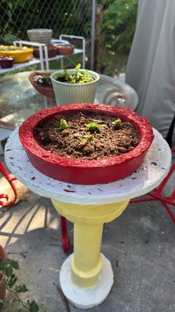 Red concrete home made planter