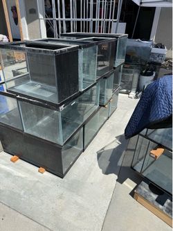 Aquariums (20 gal, 29 gal, 40 gal, 55 gal)