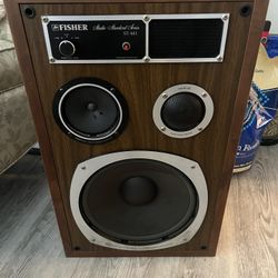 Home Speakers