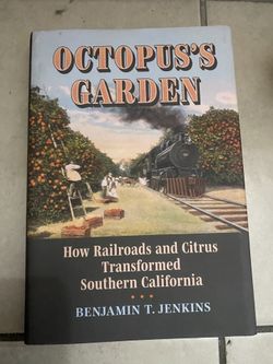 octopus’s garden