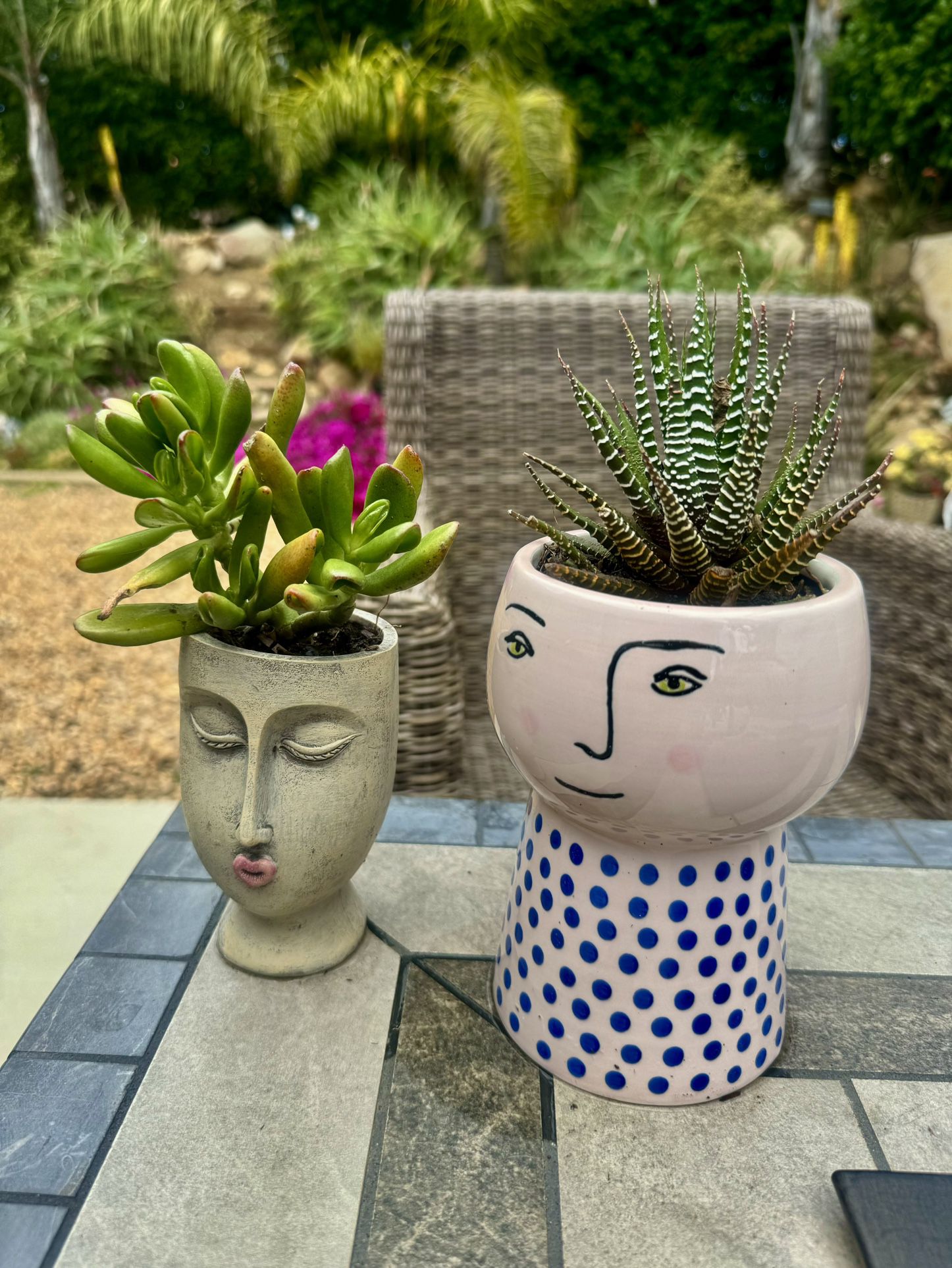 😍😍 Face Planter Duo - Two Face Planters w Plants Included 