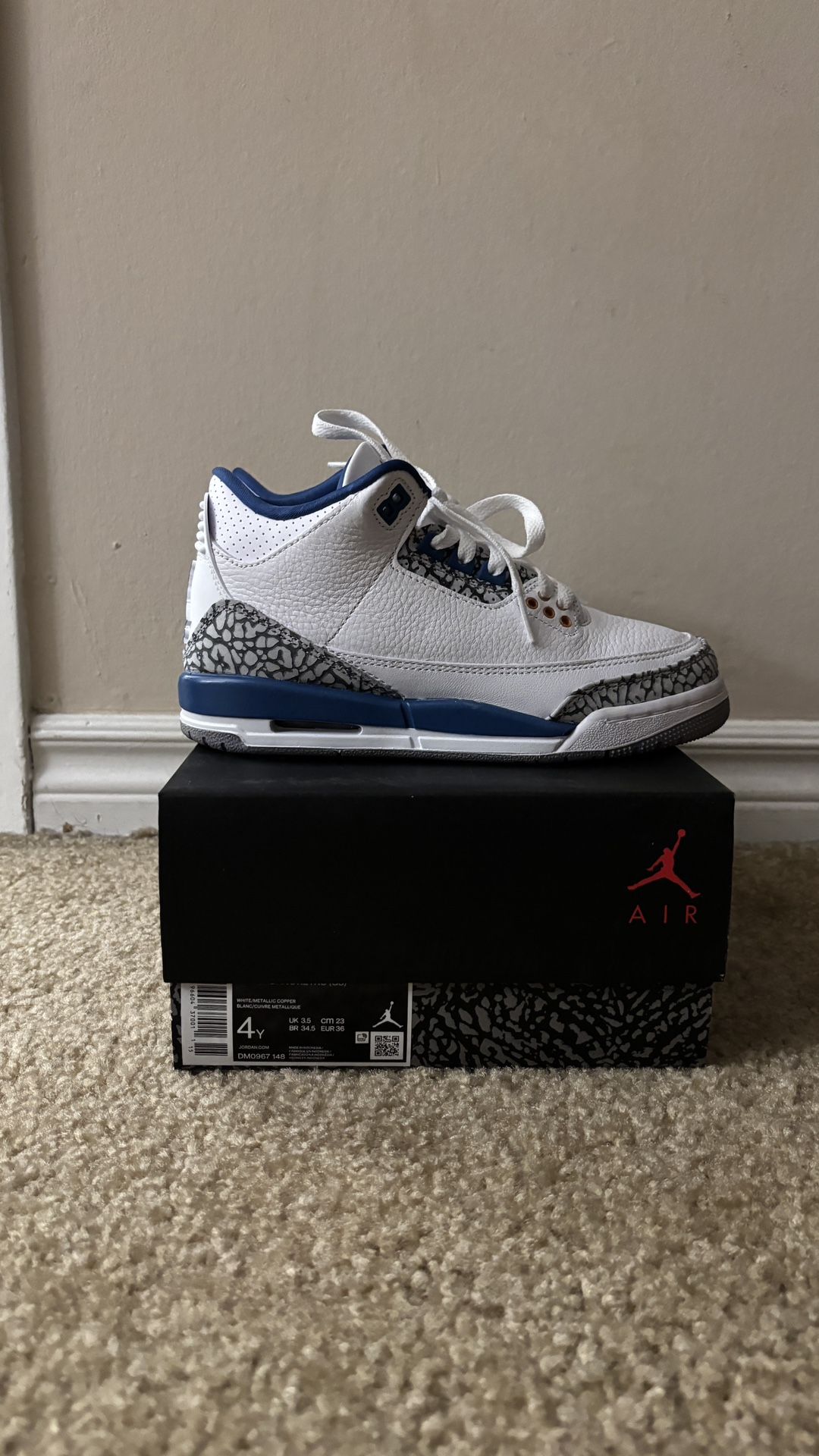 Nike Air Jordan Retro 3 “Wizards”