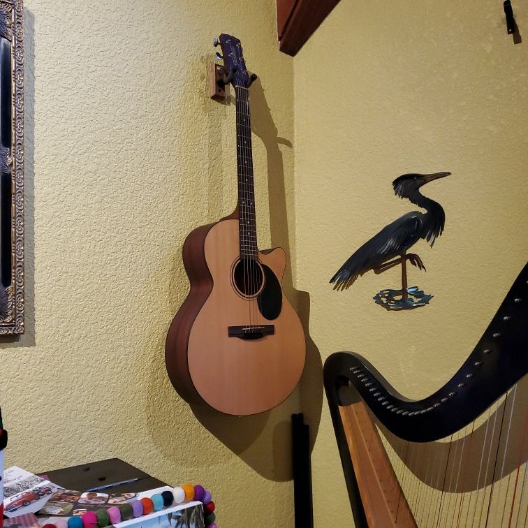 Acoustic Guitar