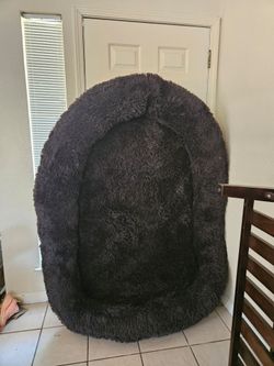 Human size dog bed