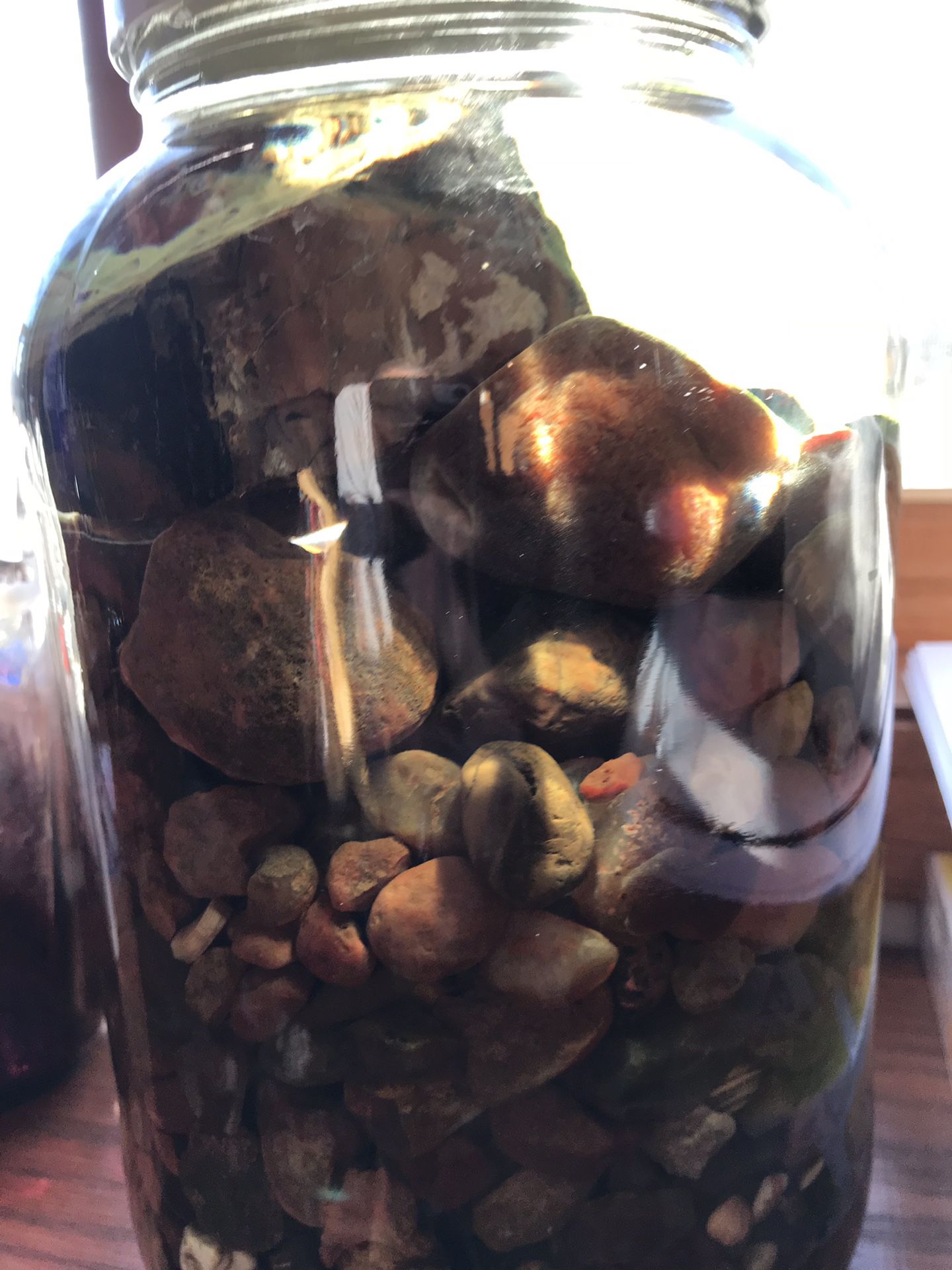 Gallon jar full of Lake Superior agates