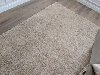 8 x10 Area Rug