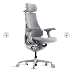 LiberNovo Omni Chair - Brand New