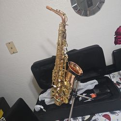 alto Saxophone  Mas 30L