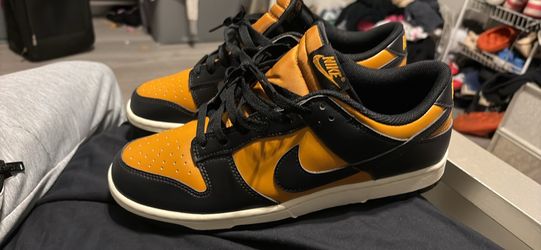 10.5 sb dunks
