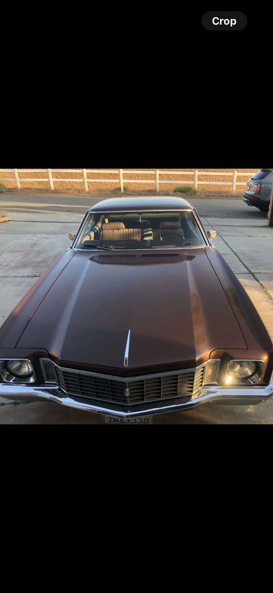 1972 Chevy Monte Carlo Hood