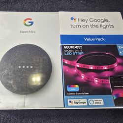 Google Mini + Smart LED Strip 