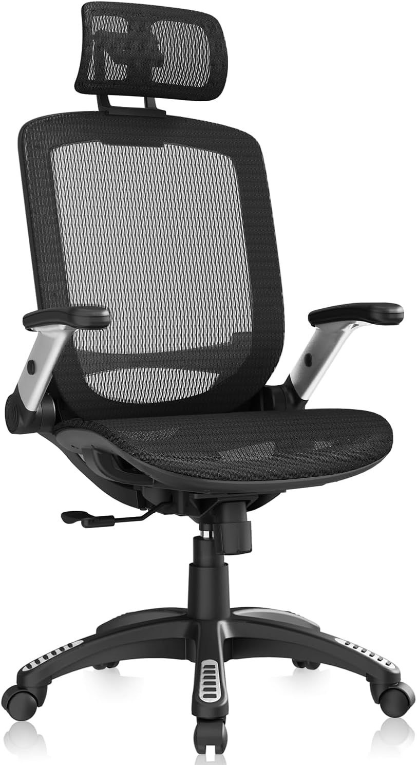 GABRYLLY Ergonomic Office Chair,#1610KR5