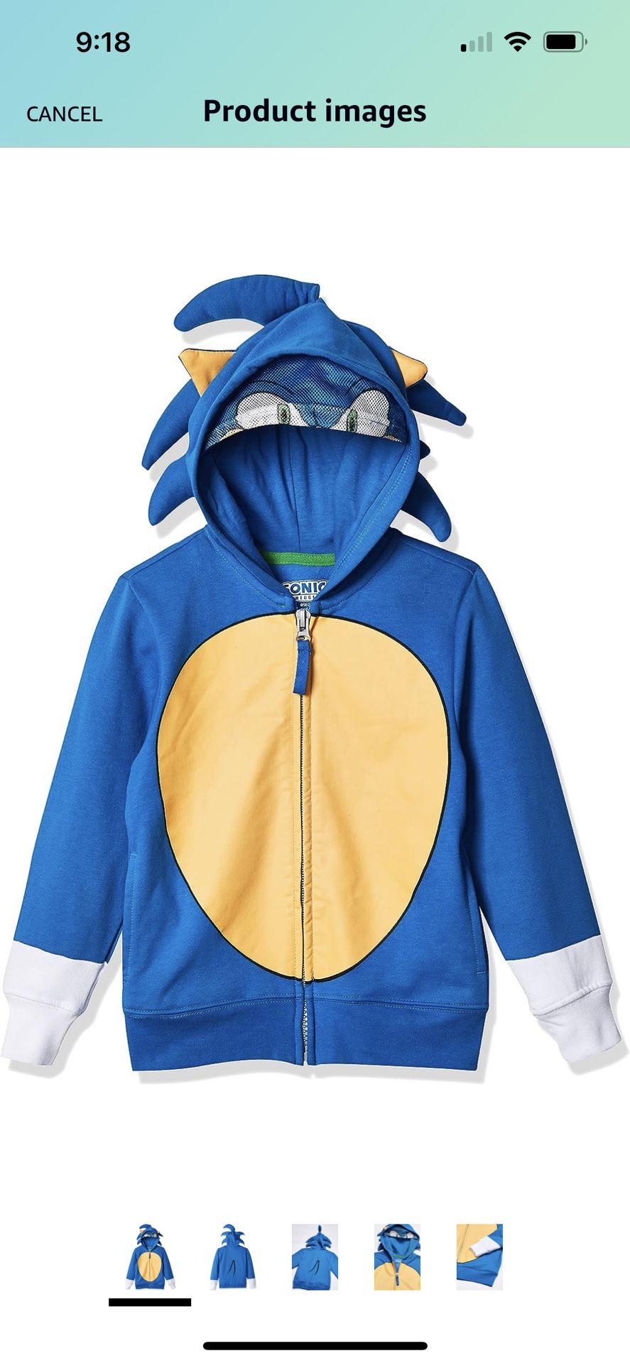 Sonic Hooded Sweatshirt And Sweats