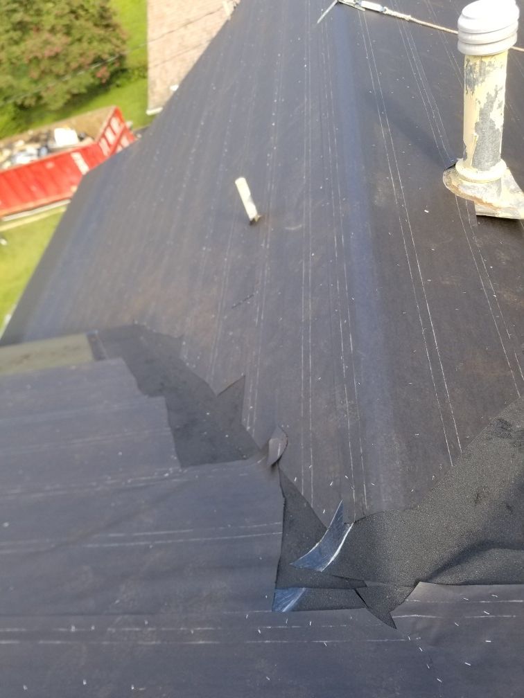 Ola ofresco mis serbisios de roof sayring y pintura