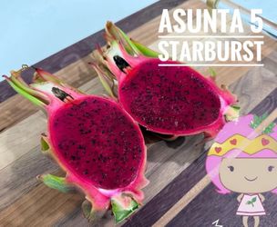 Cutting dragon fruit