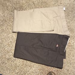 Dickies Pants