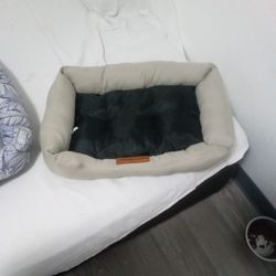 Dog  Beds