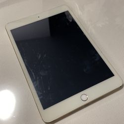 Apple Mini iPad 3