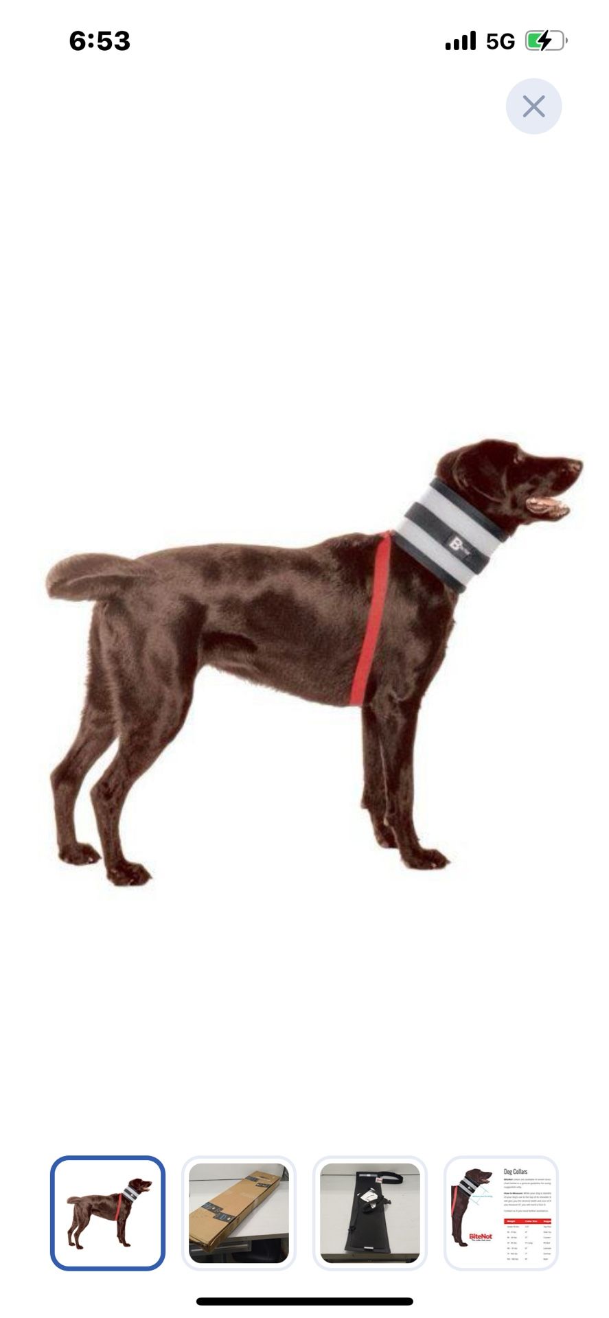 “New”BiteNot Collar (protects Pets From Licking Wounds)8”W  x 32”L (retail $49)