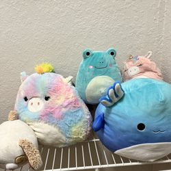 Squishmallow Bundle 