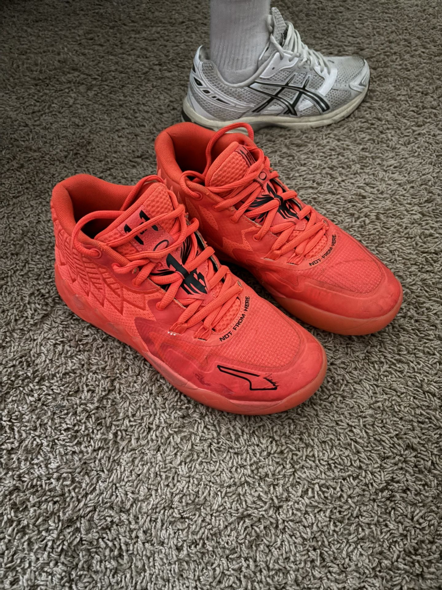 Lamelo Puma Shoes