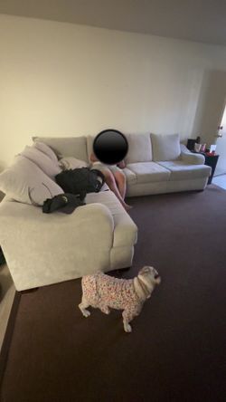 Couch barely used