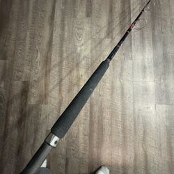 Custom Seeker Salt Water Fishing Rod. See Pick For Spec Info. 