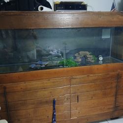 125 Gallon Fish Tank $800