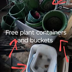 Free Hanging Plant Pots And Buckets Containers