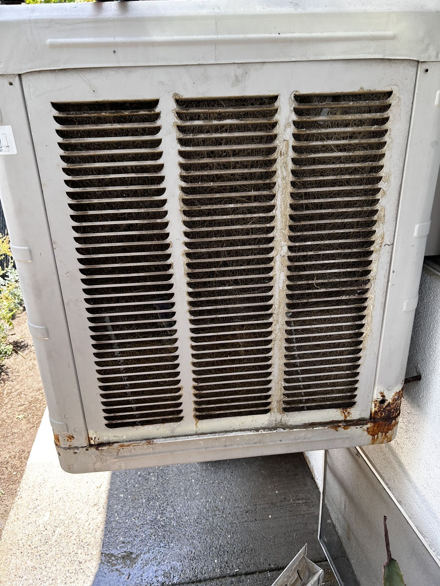 Swamp Cooler